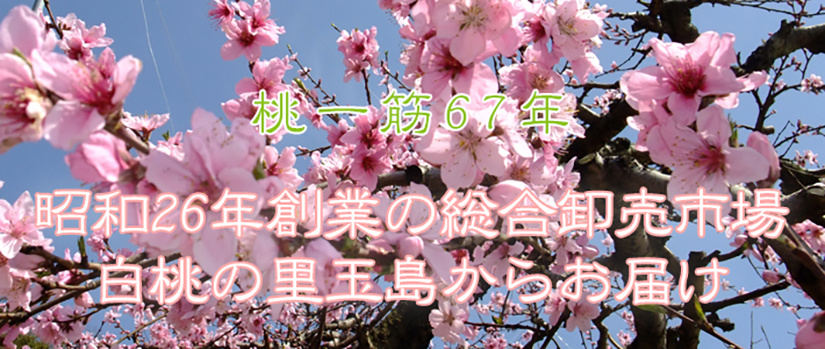 05.jpg